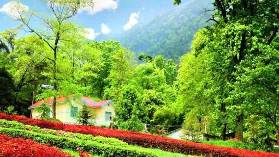 Mount Ping Tourist Area
