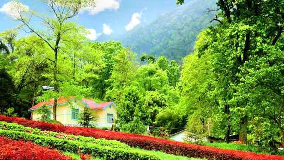 Mount Ping Tourist Area