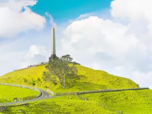 Maungakiekie / One Tree Hill