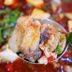 Yibinfeichang Fish User Photo