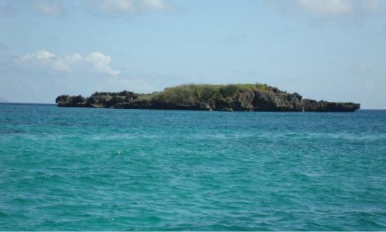 Crocodile Island