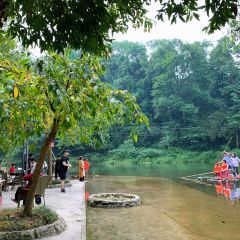 JIN CEN YUAN NONG ZHUANG User Photo