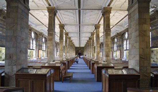Muséum d'Histoire naturelle