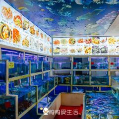 JINJIAGANG User Photo