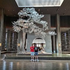 曲阜鲁能JW万豪酒店·JW Kitchen自助餐厅 User Photo