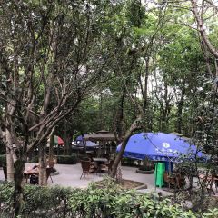 陈庄乡土鸡·柴火鸡·川菜 User Photo