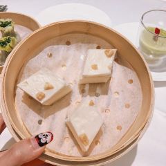 Moose (Pudong) User Photo