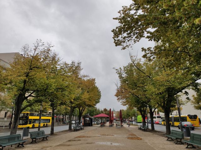 Under the Linden Trees