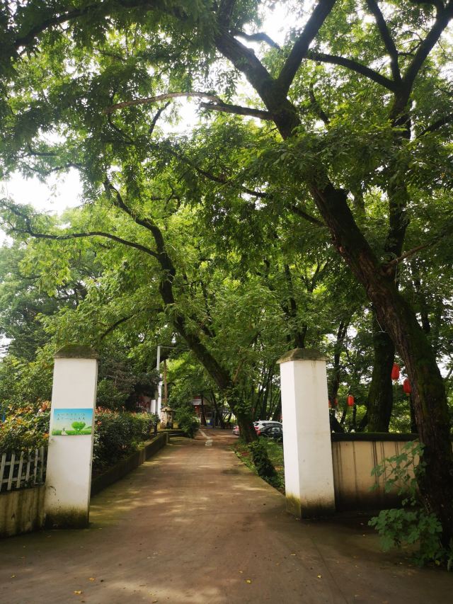 저장 서부 대초원 고명주 문화촌