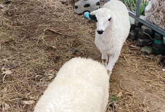 张北天路安娜庄园 User Photo