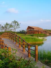 Dongtan Wetland Park