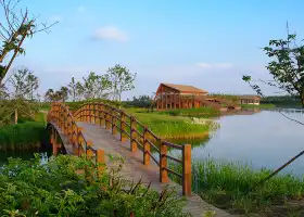 Dongtan Wetland Park