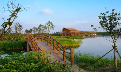 Dongtan Wetland Park