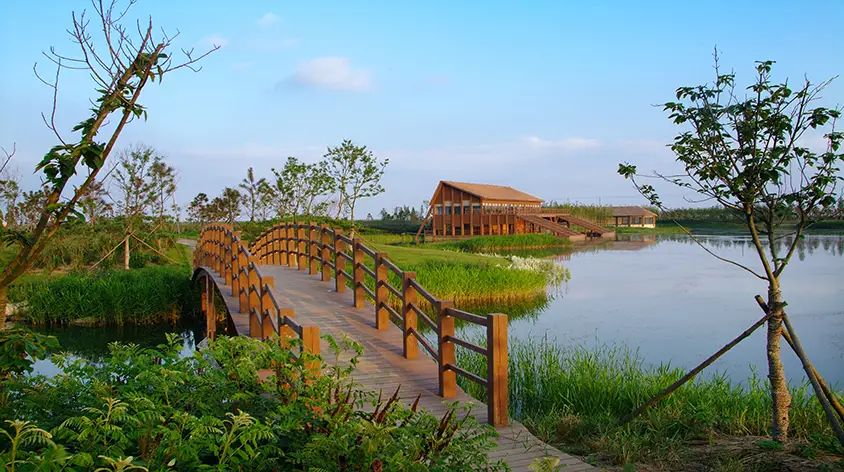 Dongtan Wetland Park