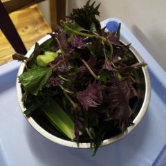 香八方醉鹅 User Photo