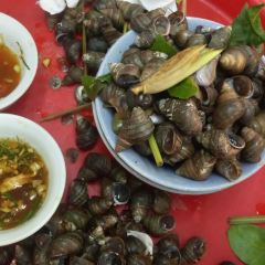 Oc Nong Ha Trang User Photo