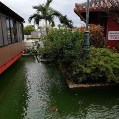 Hanagasa Shokudo User Photo