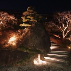 Itoh Dining by Nobu User Photo