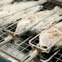 The past time User Photo