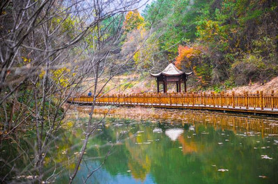 武漢的黃陂，有這麼一片地方，秋季山下一片翠綠，山上的楓葉已變｜Trip  