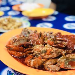 Kenari ảnh của người dùng