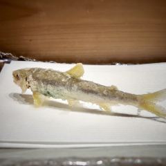 Tentenpura Uchitsu User Photo