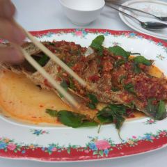 Koti Restaurant Huahin User Photo