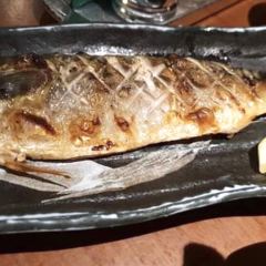 Sushi Tei - VivoCity User Photo