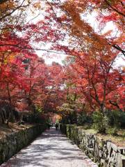 佛德山 興聖寺