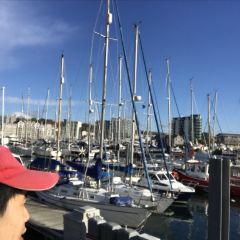 The Harbour Seafood Restaurant and Takeaway User Photo