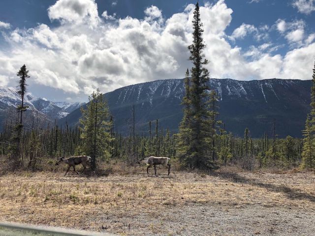 Muncho Lake Provincial Park