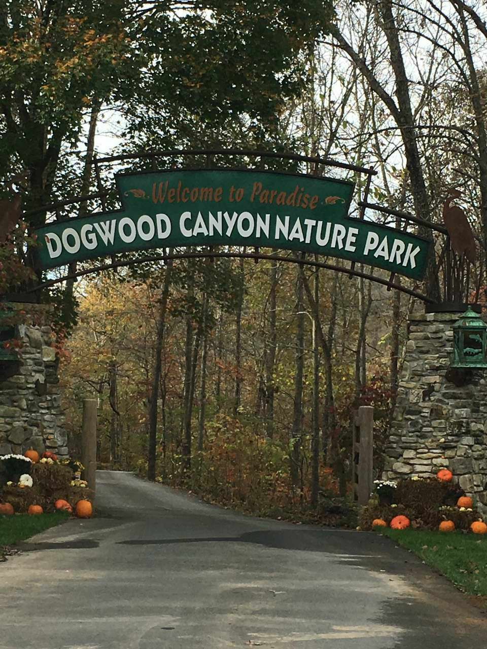 One fine day in autumn at Dogwood Canyon Nature Park in MO.  You can rent bicycles to tour the park if you do not want to walk. There are many natural wonders to explore in the park and areas for picnic's too. Makes for a great family outing.. #happynewyear 
#happynewyear