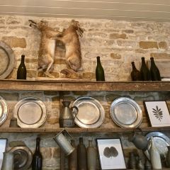 The Wild Rabbit張用戶圖片