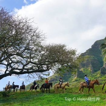 kualoa ranch travel guidebook must visit attractions in honolulu kualoa ranch nearby recommendation trip com
