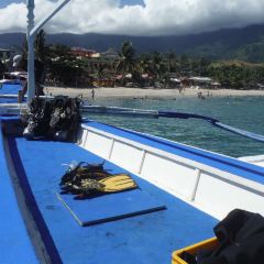 Verde Divers User Photo