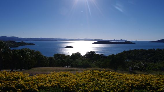 Hamilton Island Buggy Hire