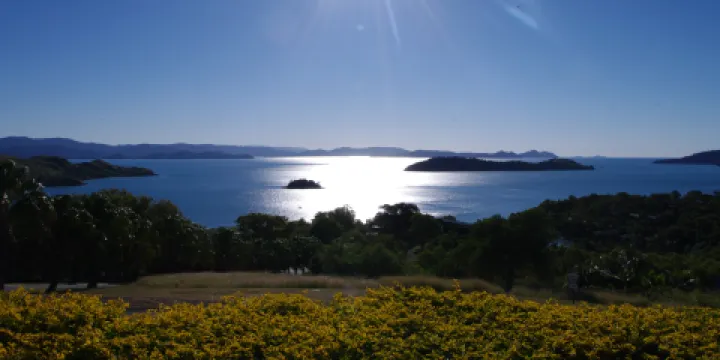 漢密爾頓島免費巴士