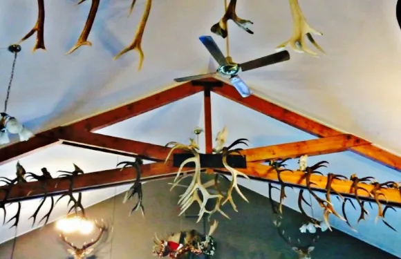 Hard Antler Bar & Restaurant