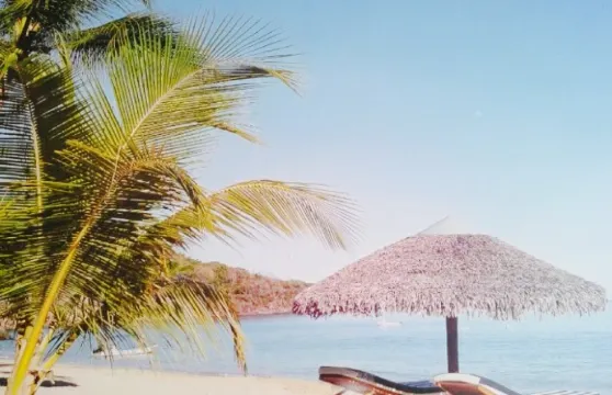 Caribbean Tasty Treats