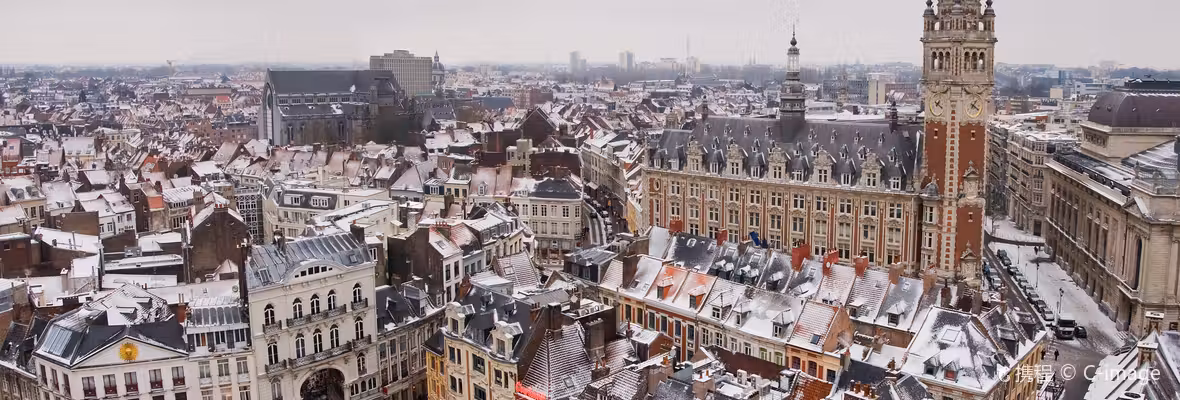 Voli Bruxelles Lilla