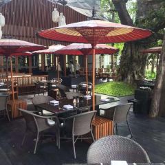 BODHI TERRACE User Photo