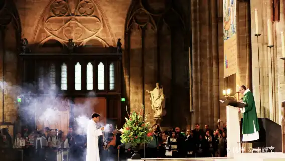 All kinds of translators, Guide , chartered private charter, photographers, business escorts, medical accompaniment, travel guides, customization