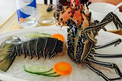 Great Wall Restaurant