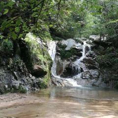 TAO HUA CHONG SEN LIN GONG YUAN HUA CHENG NONG GU User Photo