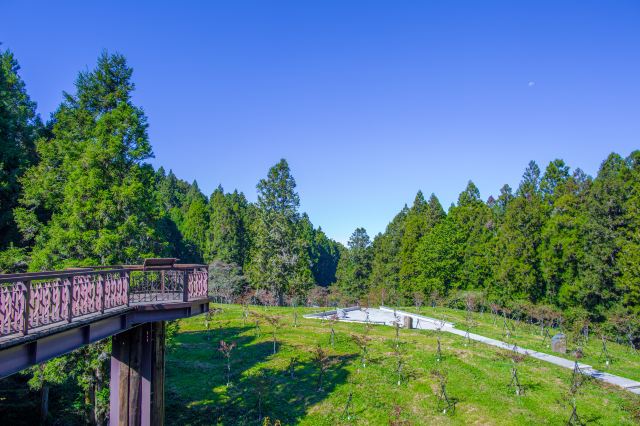 Ali Marsh Flat Park