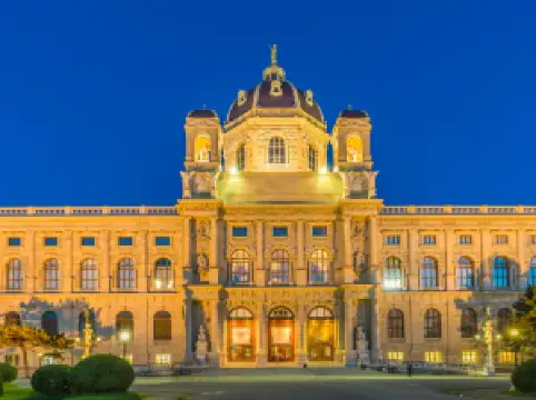 Museo de Historia del Arte de Viena
