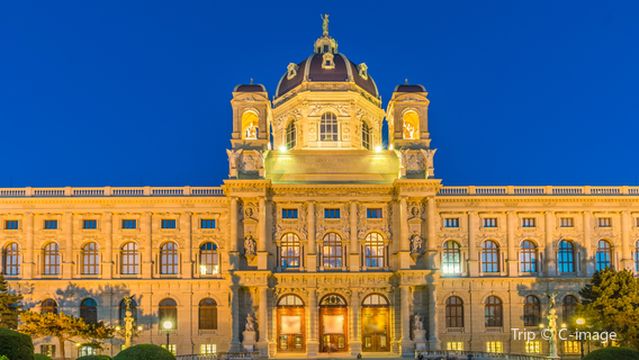 Museo de Historia del Arte de Viena