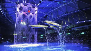 Must-see Attractions