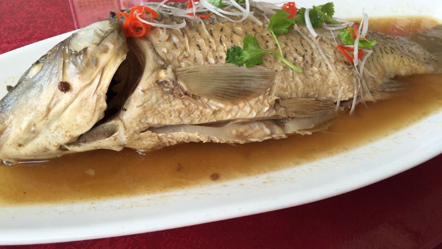 东达假日酒店餐饮中心