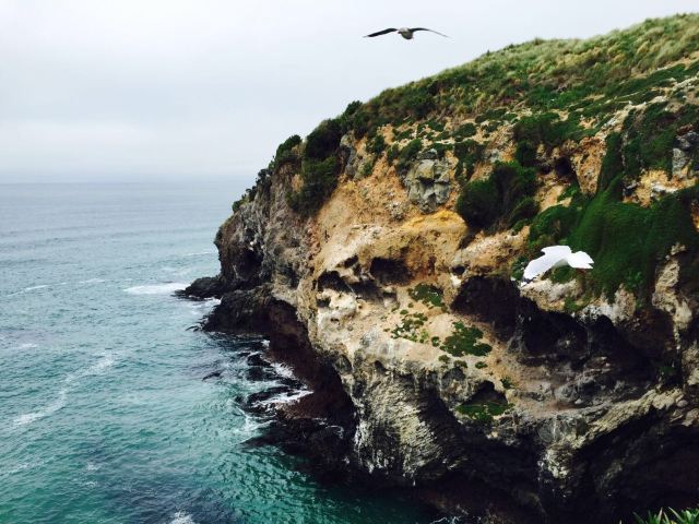 Otago Peninsula